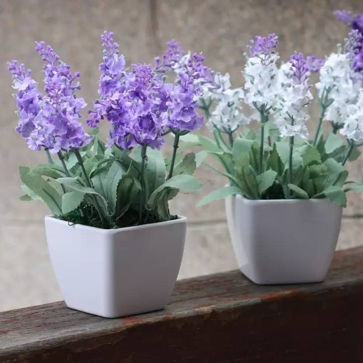 12种药材,滁州道地药材有哪些