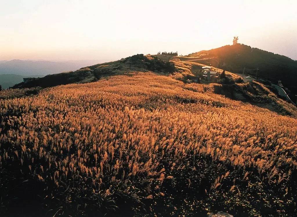 去箱根泡温泉要多少钱,箱根有专门泡温泉的地方吗