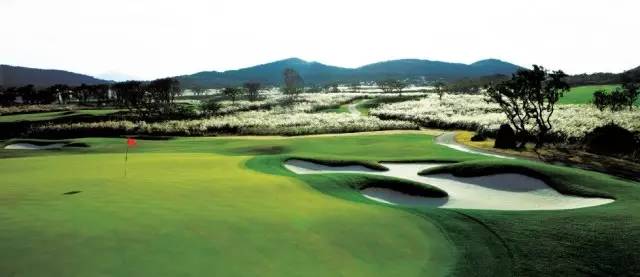 旅行济州岛,济州岛旅游自由行推荐