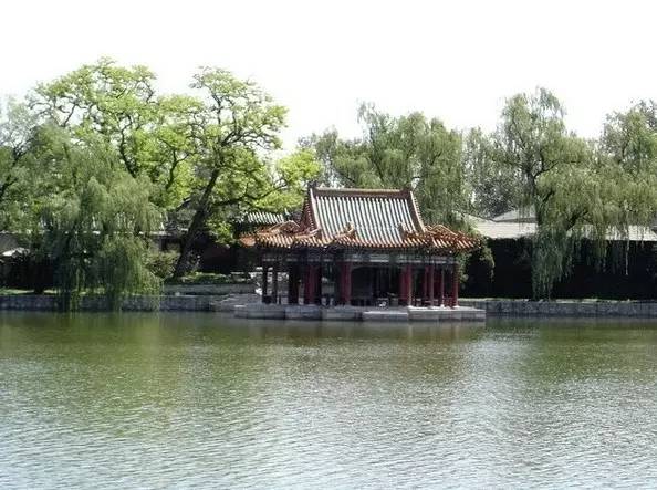 她关注|神秘的中南海，原来是这样！