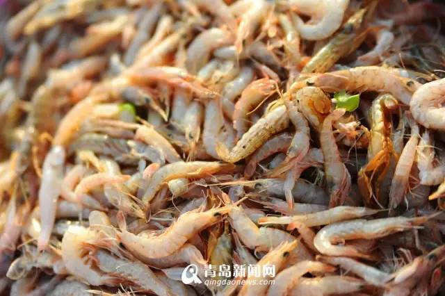 青岛海鲜一锅蒸,青岛必吃的海鲜做法