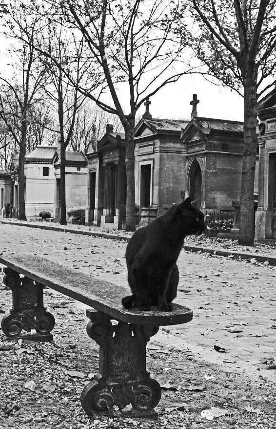 榛戝柕杩囩▼閲嶈杩樻槸缁撴灉閲嶈,榛戝柕浠ュ悗杩橀渶涓嶉渶瑕侀伩瀚屼簡