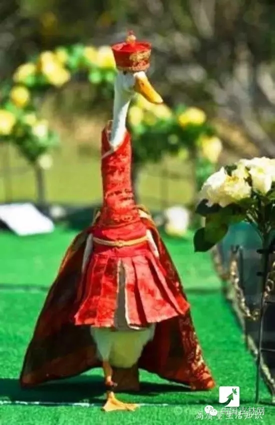 长春热企提前开栓供暖,长春市提前开栓供热通知