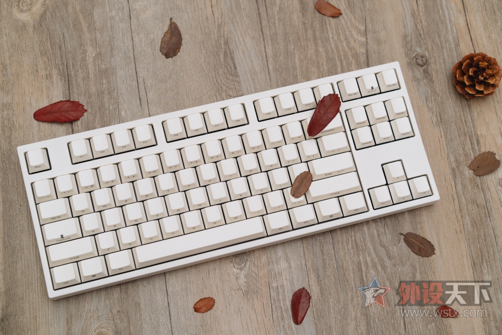 烧友评测电脑,leopoldfc980红轴评测