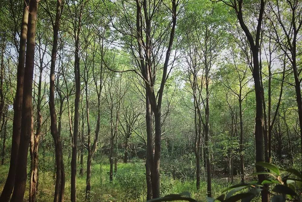 原来在宿舍也可以这么快乐,原来在大连也可以享受洱海