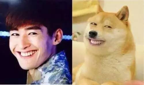 虞书欣日常表情包视频,虞书欣wow表情包动图