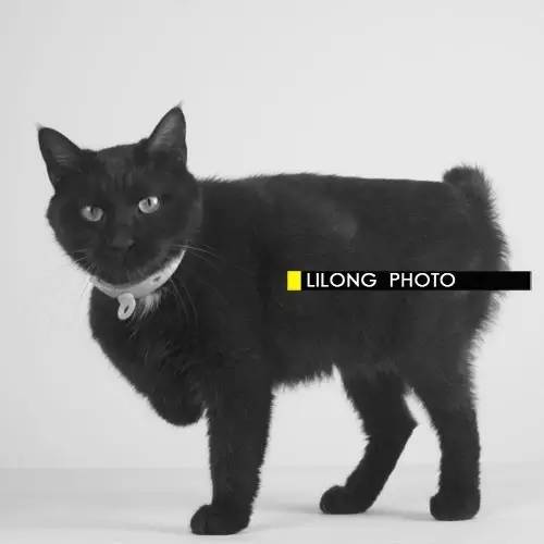 榛戝柕杩囩▼閲嶈杩樻槸缁撴灉閲嶈,榛戝柕浠ュ悗杩橀渶涓嶉渶瑕侀伩瀚屼簡