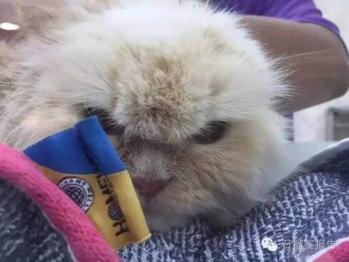 读者来稿,读者来稿400字