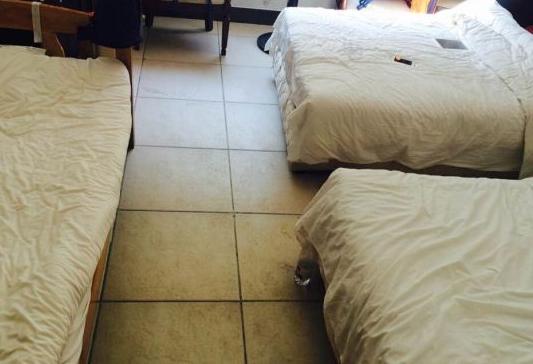 男足女足伙食,男足伙食vs女足伙食