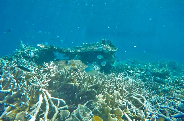 帅哥带你去日本旅游,仙本那个性旅拍婚纱照推荐