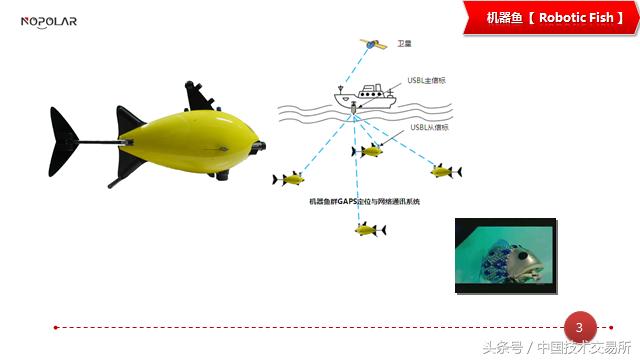 诺伯乐,诺伯乐电子科技公司