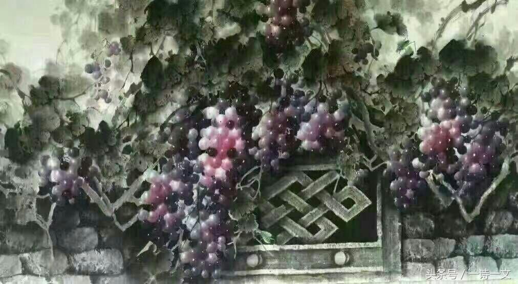 水木诗集|沧海桑田未能遇你我只能和寂寞热恋