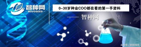 玉米育种的基本思路和方法,玉米育种的正确方法