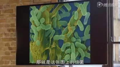 父母不过敏孩子怎么会过敏,皮肤过敏怎么治反复过敏