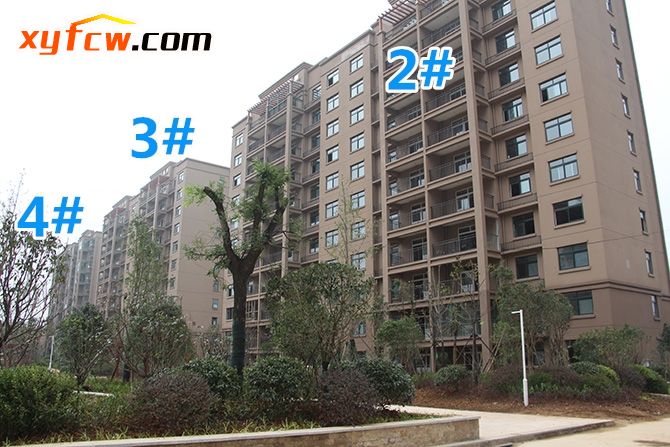 奥兰天和家园四房,奥兰天和家园三居室