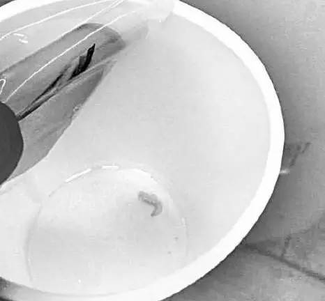 自助鲜榨果汁机,自助机鲜榨果汁