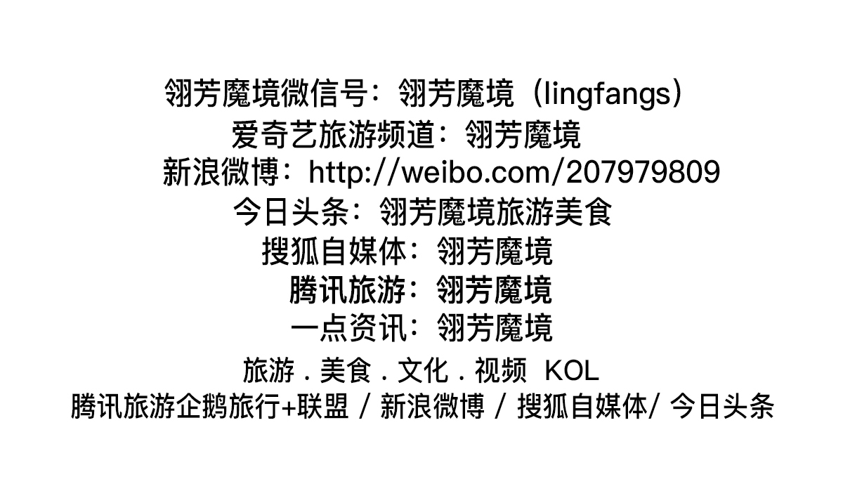 终于，我在荷兰被罚了1500人民币
