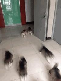 姑娘休要淘气了，小心老师找你谈话