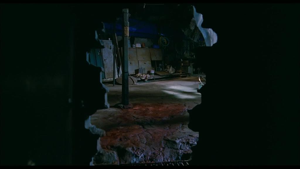 韩国电影看见恶魔深度解析,和看见恶魔类似的韩国电影