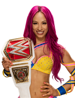 WWE:盘点WWE中的女将