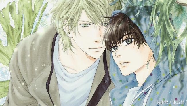 宅女动漫,那些让人少女心爆棚的动漫