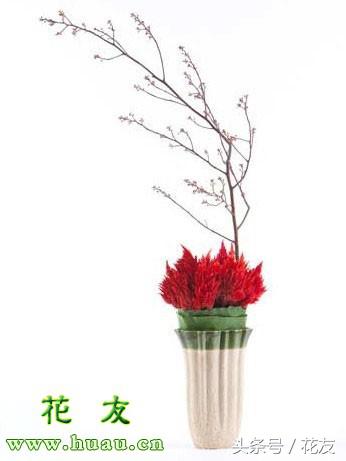 插花花艺制作过程学习,多种风格插花教程