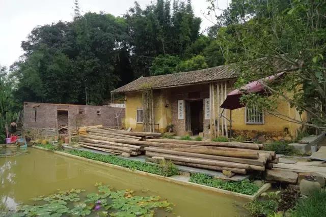 一个隐匿的世外桃源,一间隐藏在市区民宿