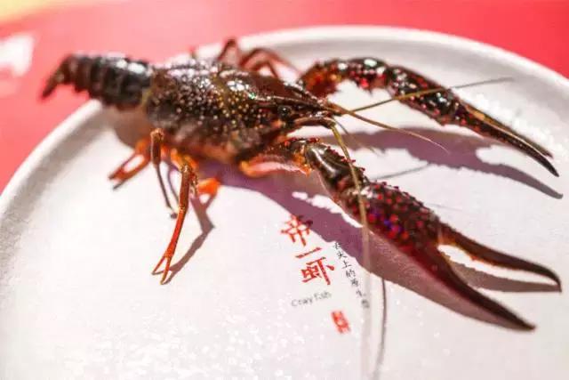 老板壕打5.8折，​全年无休摄魂小龙虾，逼爆头我都要吃到Ta