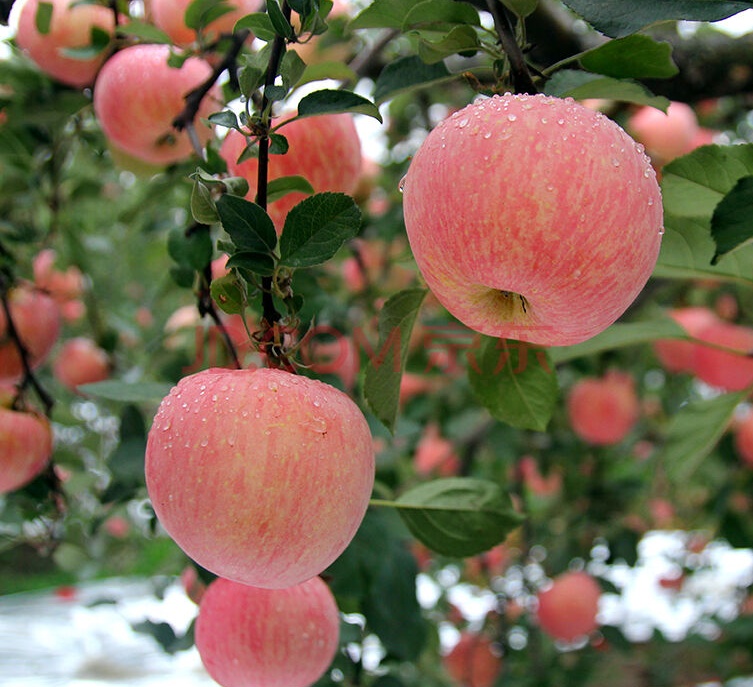 护眼隐藏灯,眼部护眼最好的方法