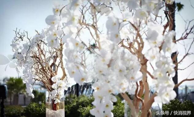 复古森林风婚礼,乡村户外婚礼布置