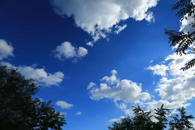 郑州人的早餐有哪些,郑州十大老字号早餐