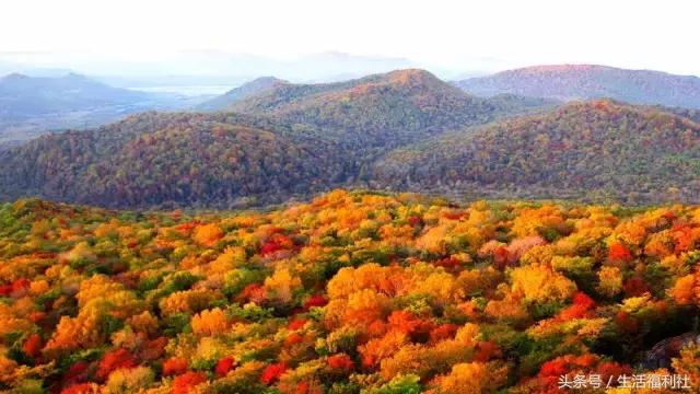 什么能够代表哈尔滨,哈尔滨代表人