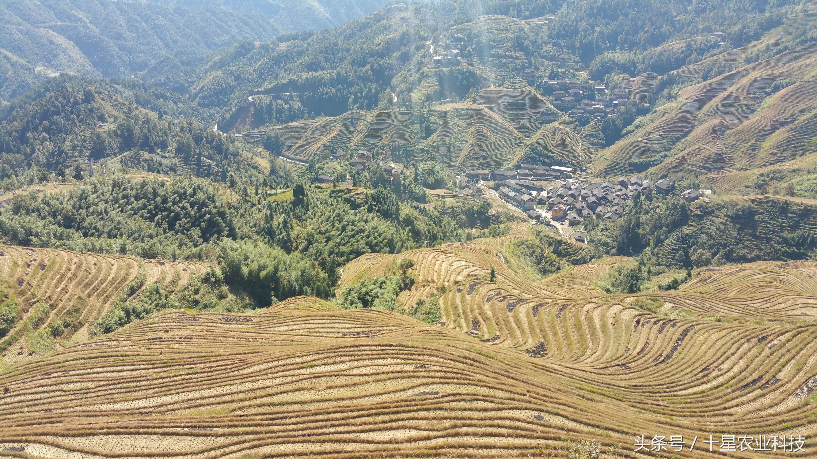 龙胜瑶族大寨龙脊梯田，原创拍摄几十图，有美女出镜哦！