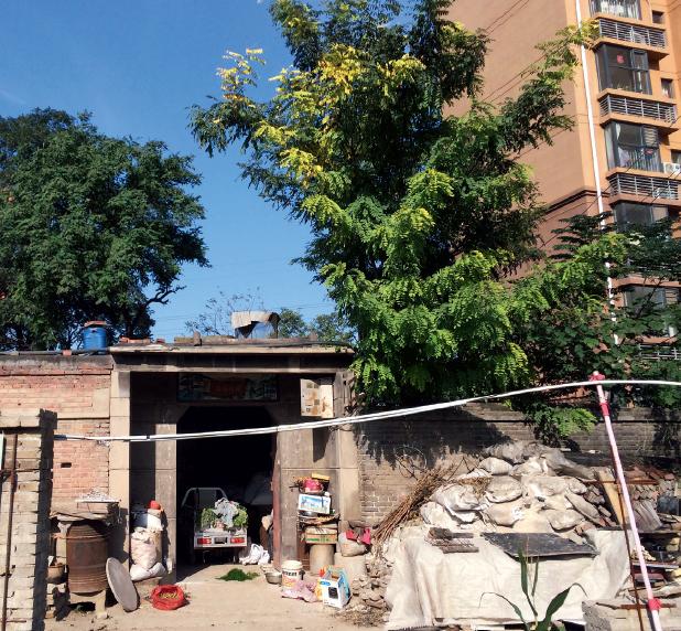 石家庄北高营贾敬龙,贾敬龙案纪实全集