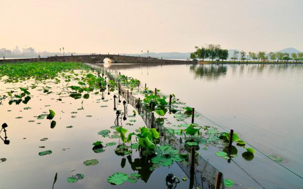 成都市拍婚纱照去哪里拍比较好看,推荐一下拍婚纱照的地方