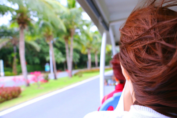 三亚最美的地方在哪里,三亚世界上最美的海在哪里