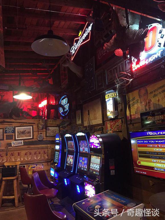 在美国旅游视频教学,美国自由行自驾游