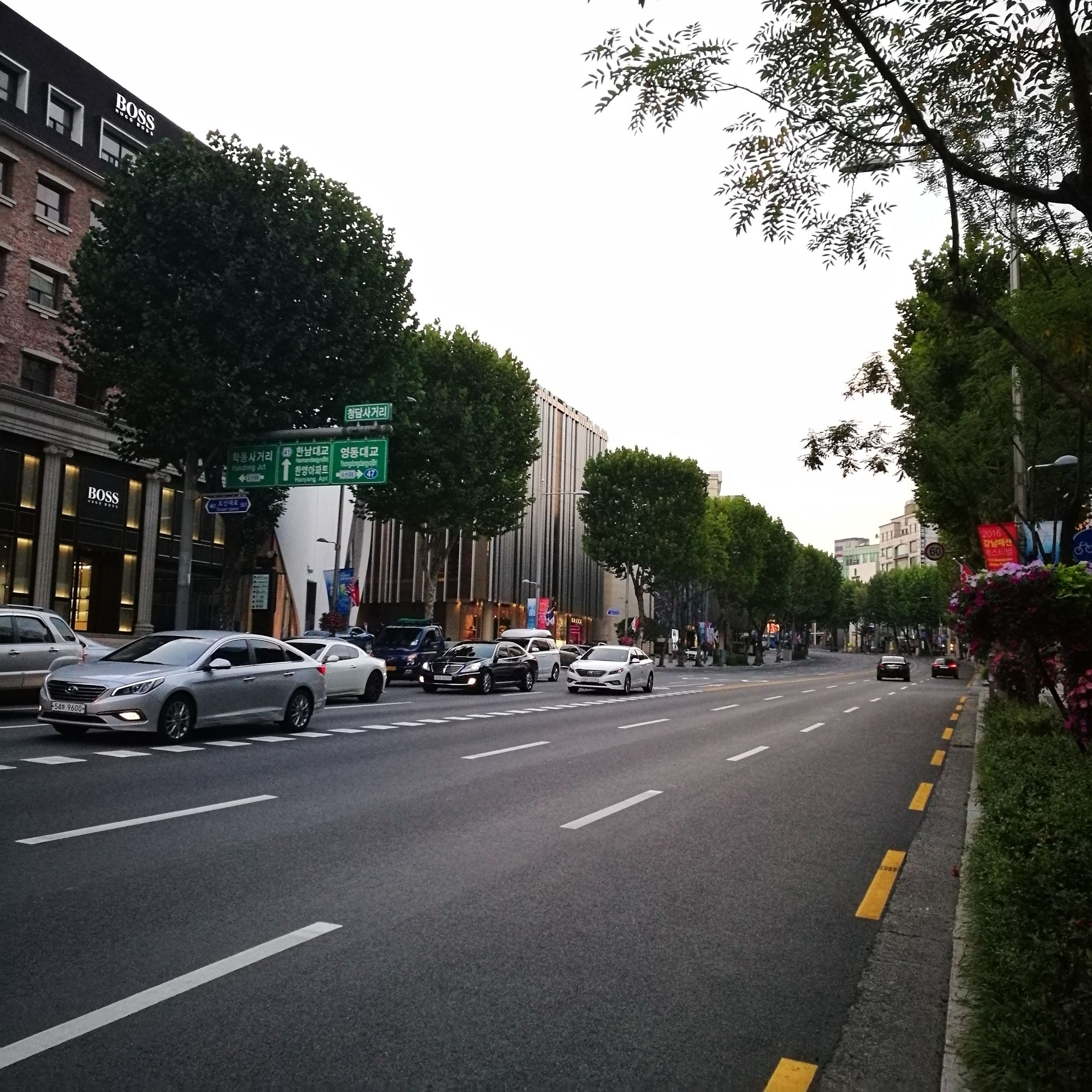 韩国美女第四次来首尔自由行,一个人韩国济州岛旅游