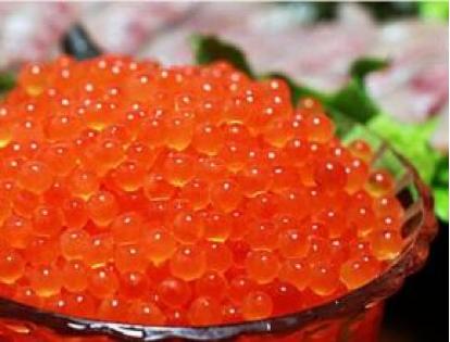 大马哈鱼为什么要洄游,大马哈鱼洄游的原因