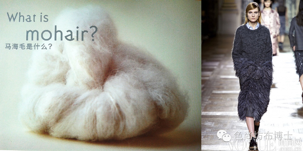 怎样判断面料是不是马海毛,马海毛是什么颜色的毛