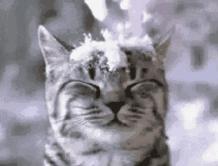 别再说润唇膏没用,不是你不会涂,而是你不会选!