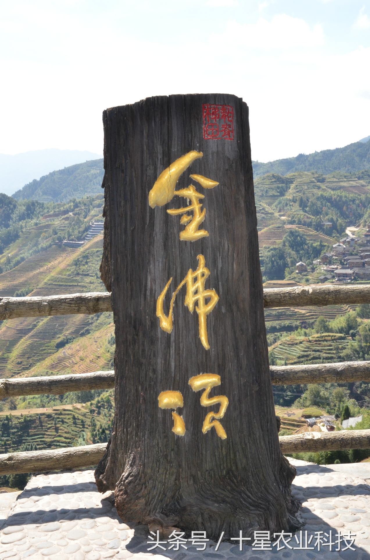 龙胜瑶族大寨龙脊梯田，原创拍摄几十图，有美女出镜哦！