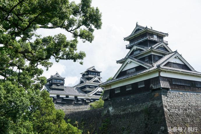 酷ma萌陪伴机器人熊本熊,酷ma萌和熊本熊