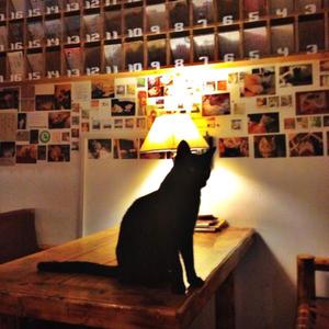 西安有没有浪漫的地方啊,西安适合情侣去的好去处