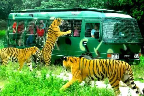 上海地铁79号线列车图,地铁18号线最新时间表