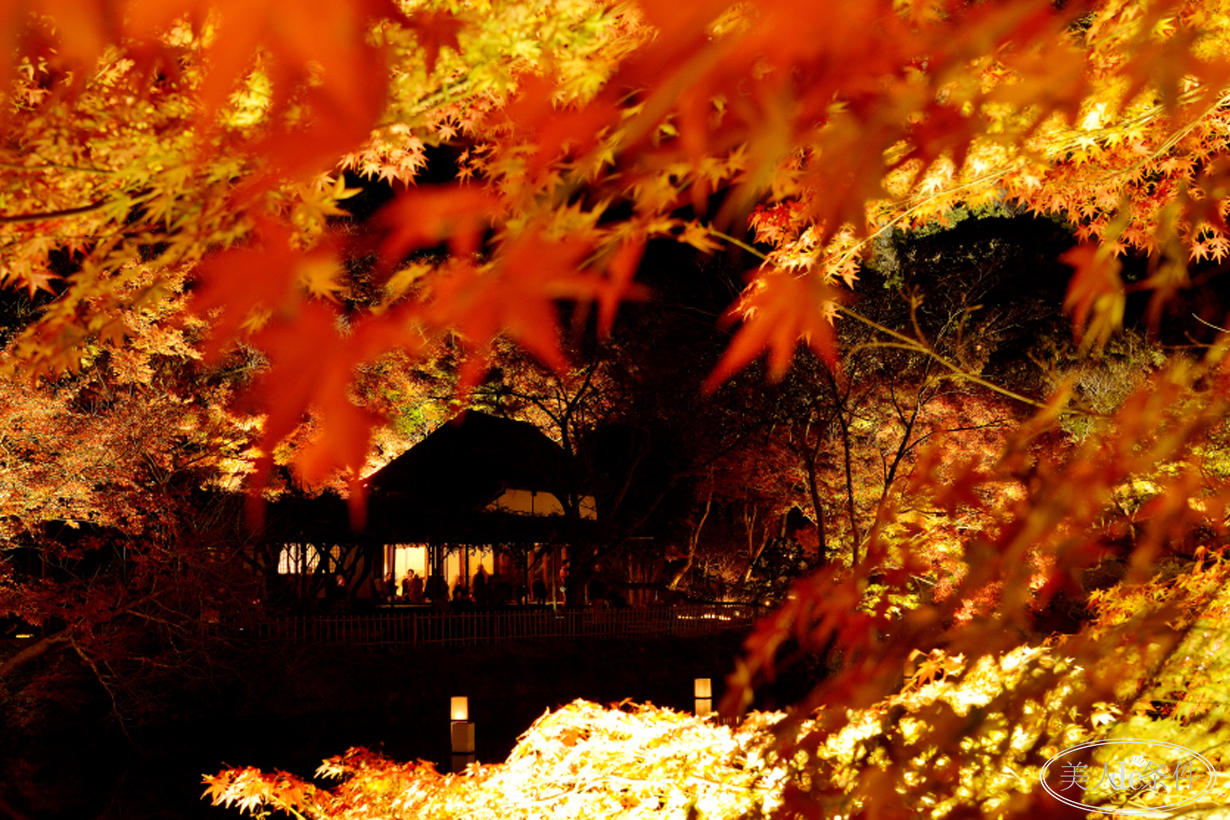 美酱周报|虽说秋意浓,更要秋意暖!