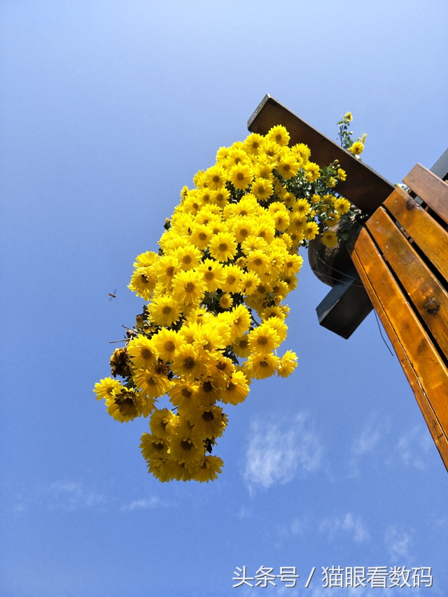 oppor9s手机测评,oppor9s测评什么处理器