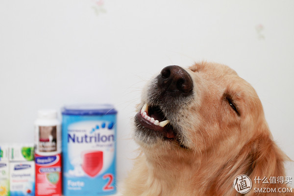 备孕婚前体验,备孕亲身经历和感受