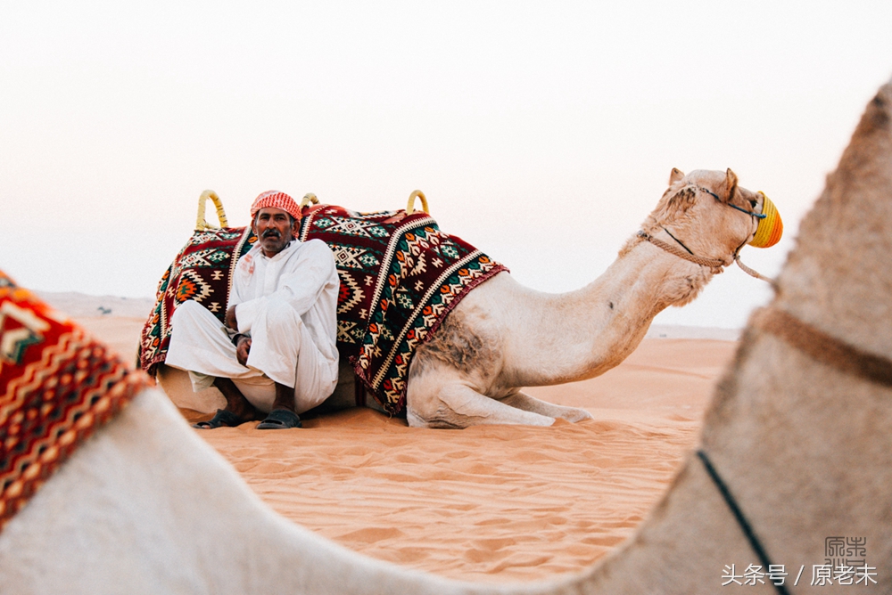 迪拜免签可以去多少次,去迪拜免签有没有效果