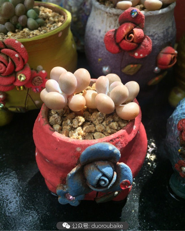 谈谈我的看法和感想,谈谈我对自己的看法